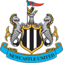 new castle logo